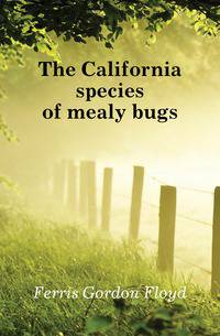 The California species of mealy bugs