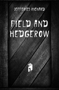Field and hedgerow