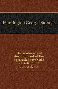 The anatomy and development of the systemic lymphatic vessels in the domestic cat