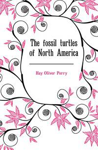 The fossil turtles of North America