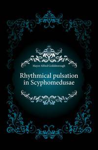 Rhythmical pulsation in Scyphomedusae