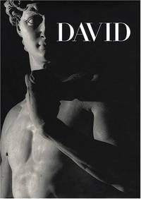 Michelangelo`s David