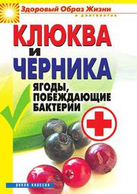 Клюква и черника. Ягоды, побеждающие бактерии