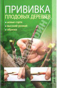 Прививка плодовых деревьев
