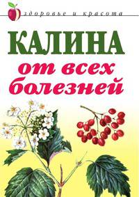 Калина от всех болезней