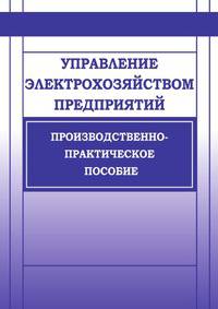 Управление электрохозяйством предприятий