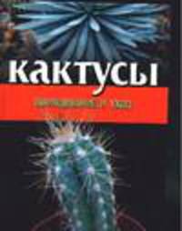 Кактусы: Выращивание и уход (миньон)