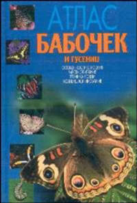 Атлас бабочек и гусениц: Места обитания; Физические характеристики; Поведение; Размножение; Особенности строения; Техника ловли; Коллекционирование
