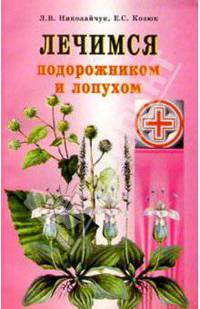 Здоровое лечение подорожником и лопухом