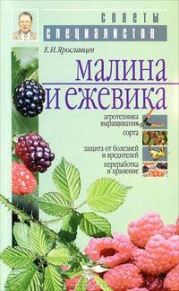 Малина и ежевика