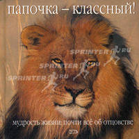 Папочка-классный!: Мудрость Жизни: Почти все об отцовстве / Пер. Хромова А.С.