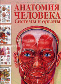 Анатомия человека. Системы и органы