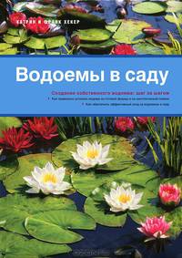 Водоемы в саду (садовые водоемы)