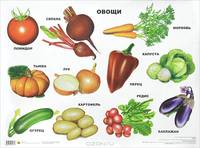 Плакат "Овощи"