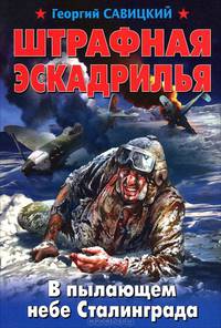 Штрафная эскадрилья. В пылающем небе Сталинграда