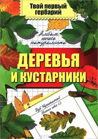 Деревья и кустарники. Альбом юного натуралиста