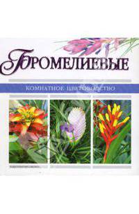 Бромелиевые - (Комнатное цветоводство)