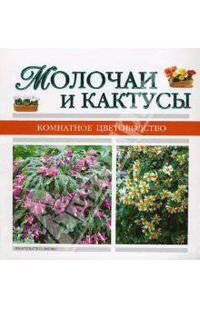 Молочаи и кактусы - (Комнатное цветоводство)