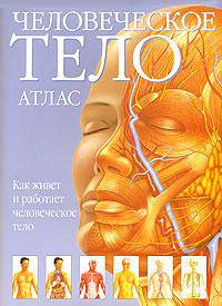 Человеческое тело. Атлас