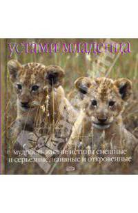 Устами младенца. Мудрость жизни: истины смешные и серьезные, наивные и откровенные