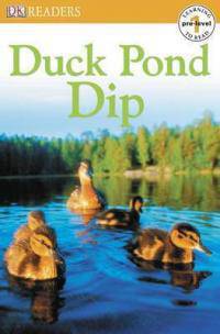 Duck Pond Dip