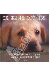 Эх, жизнь собачья! Мудрость жизни: что думают собаки о людях и о себе