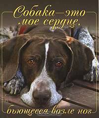 Собака - это мое сердце, бьющееся возле ног