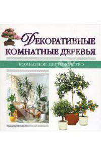 Декоративные комнатные деревья