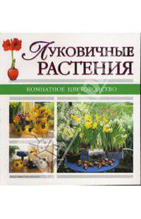 Луковичные растения - ( Комнатное цветоводство. Новое оформление)