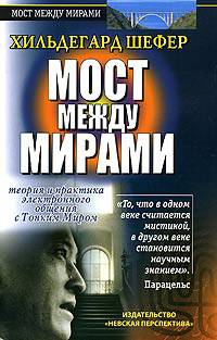 Мост между мирами: теория и практика электронного общения с тонким миром - (Вселенная Сан Лайта)