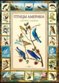 Птицы Америки