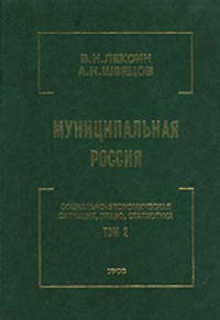 Муниципальная Россия. Социально-экономическая ситуация, право, статистика. В 5 томах. Том 2