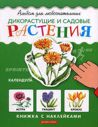 Дикорастущие и садовые растения (худ. Осетрова Т.В.). Книжка с наклейками - (Альбом для любознательных)