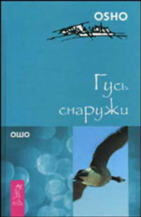 Гусь снаружи