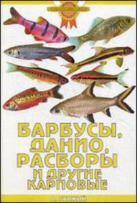 Барбусы, данио, расборы и другие карповые