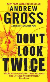 Don't Look Twice (Ty Hauck Series #2)