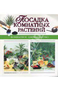 Посадка комнатных растений