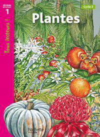 Plantes. Niveau 1