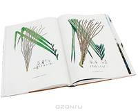 Carl Friedrich Philipp von Martius: The Book of Palms / Das Buch der Palmen / Le livre des palmiers