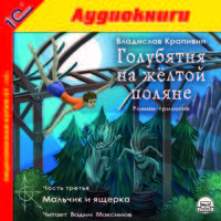 Голубятня на желтой поляне. Часть 3. Мальчик и ящерка (аудиокнига MP3)