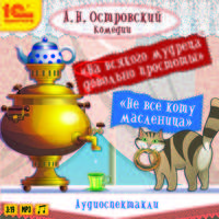 На всякого мудреца довольно простоты. Не все коту масленица (аудиокнига MP3)