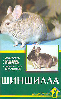 Шиншилла