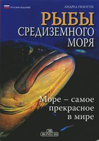 Рыбы Средиземного моря.