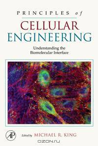 Principles of Cellular Engineering. 2006