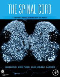 The Spinal Cord