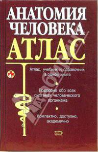 Анатомия человека: Атлас