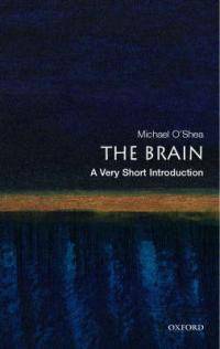 The Brain