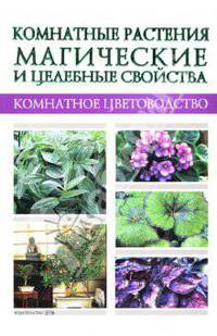 Комнатные растения: Магические и целебные свойства
