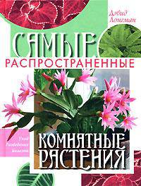 Самые распространенные комнатные растения
