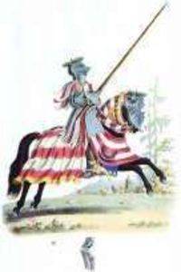 Meyrick's Medieval Knights and Armour